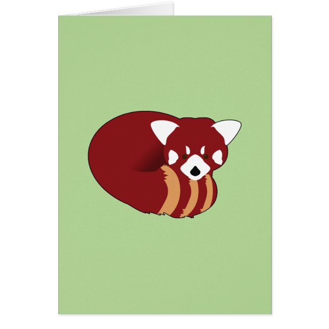Roter Panda (Vorne)