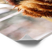 Roter Panda an einer Baumgrenze Poster (Ecke)