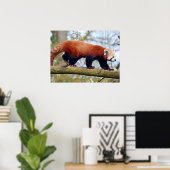 Roter Panda auf dem Ast Poster (Heimbüro)