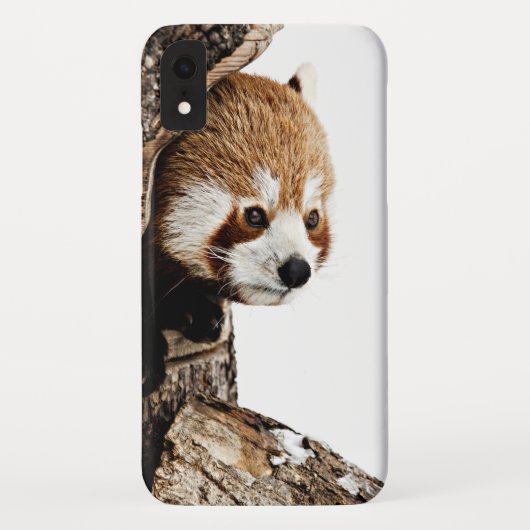 Roter Panda aus einem Baumstamm Case-Mate iPhone Hülle (Rückseite)