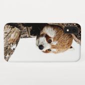 Roter Panda aus einem Baumstamm Case-Mate iPhone Hülle (Rückseite (Horizontal))