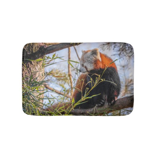 Roter Panda Badematte (Vorderseite)
