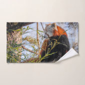 Roter Panda Badhandtuch Set (Handtuch)