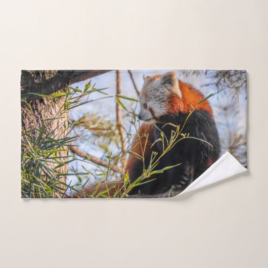 Roter Panda Badhandtuch Set (Handtuch)