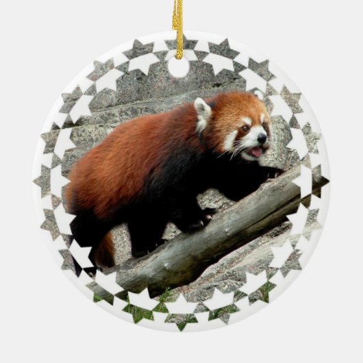 Roter Panda-Bärn-Verzierung Keramikornament (Hinten)
