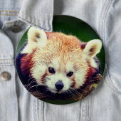 Roter Panda Button (Beispiel)