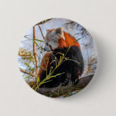 Roter Panda Button (Vorderseite)