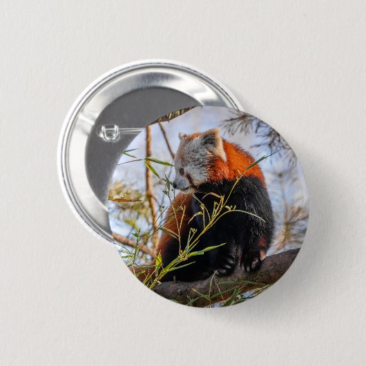 Roter Panda Button (Vorne & Hinten)