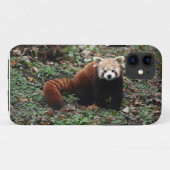 Roter Panda Case-Mate iPhone Hülle (Rückseite (Horizontal))