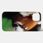 Roter Panda Case-Mate iPhone Hülle (Rückseite (Horizontal))