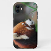Roter Panda Case-Mate iPhone Hülle (Rückseite)