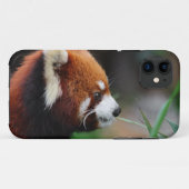 Roter Panda Case-Mate iPhone Hülle (Rückseite (Horizontal))