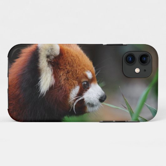 Roter Panda Case-Mate iPhone Hülle (Rückseite (Horizontal))