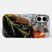 Roter Panda Case-Mate iPhone Hülle (Rückseite (Horizontal))