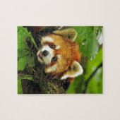 Roter Panda CUB Puzzle (Horizontal)