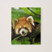 Roter Panda CUB Puzzle (Vertikal)