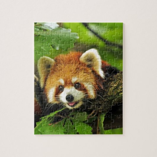 Roter Panda CUB Puzzle (Vertikal)