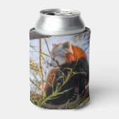 Roter Panda Dosenkühler (Kanne Vorderseite)