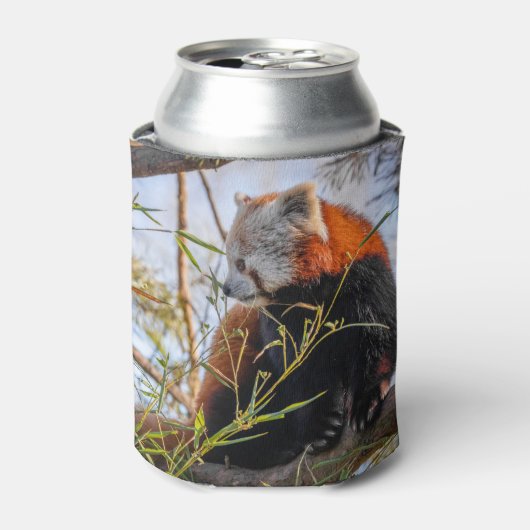 Roter Panda Dosenkühler (Kanne Vorderseite)