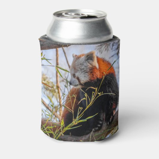 Roter Panda Dosenkühler (Kanne Rückseite)