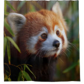 Roter Panda Duschvorhang (Vorderseite)