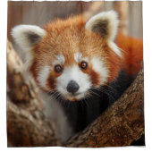 Roter Panda Duschvorhang (Vorderseite)