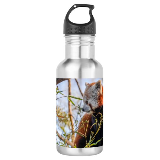 Roter Panda Edelstahlflasche (Vorderseite)
