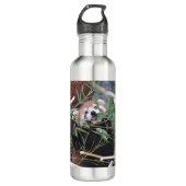 Roter Panda Edelstahlflasche (Vorderseite)