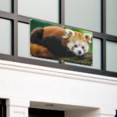 ROTER PANDA Fahne MIT GUMMIMUFFEN Banner (Äußeres Gebäude)