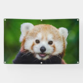 ROTER PANDA Fahne MIT GUMMIMUFFEN Banner (Horizontal)