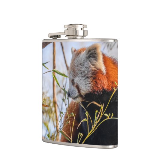 Roter Panda Flachmann (Links)