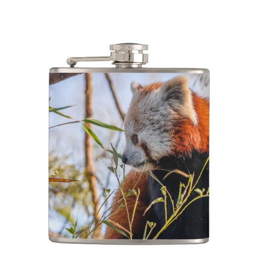 Roter Panda Flachmann (Vorderseite)