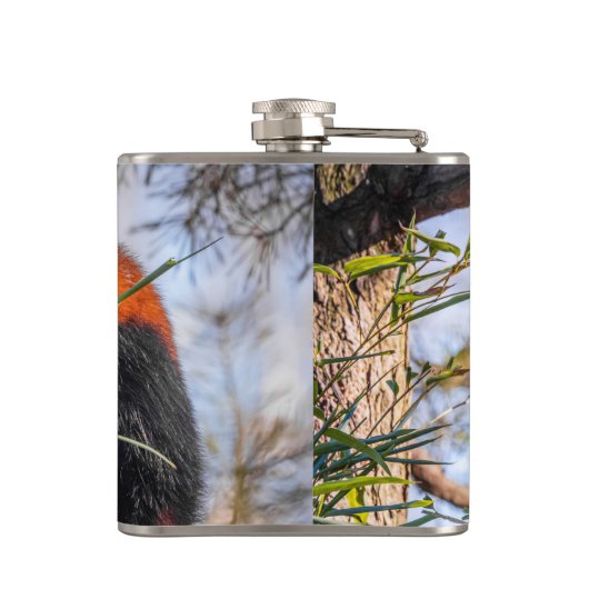 Roter Panda Flachmann (Rückseite)