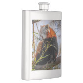 Roter Panda Flachmann (Rechts)