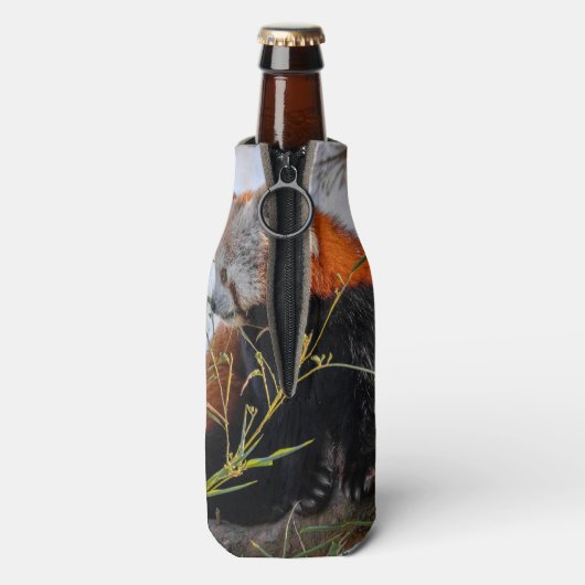 Roter Panda Flaschenkühler (Flasche Rückseite)