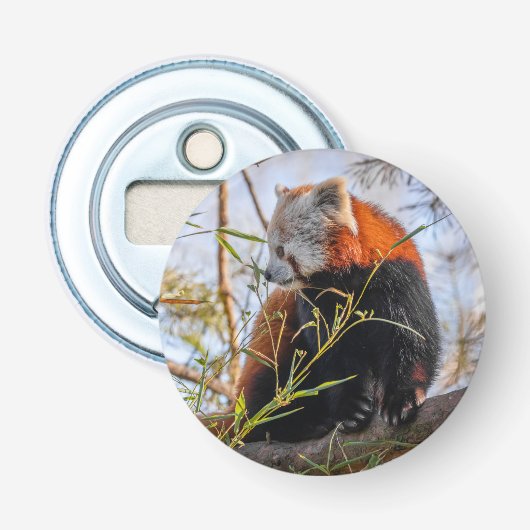 Roter Panda Flaschenöffner (Vorderseite)