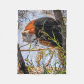 Roter Panda Fleecedecke (Vorderseite)