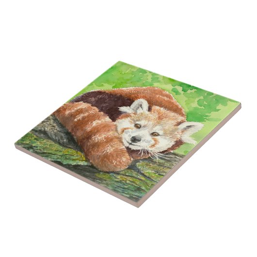 Roter Panda Fliese (Seite)