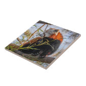 Roter Panda Fliese (Seite)