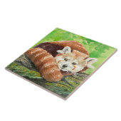 Roter Panda Fliese (Seite)
