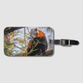 Roter Panda Gepäckanhänger (Vorderseite (Horizontal))