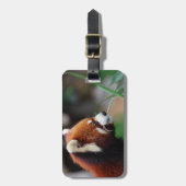 Roter Panda Gepäckanhänger (Vorderseite vertikal)