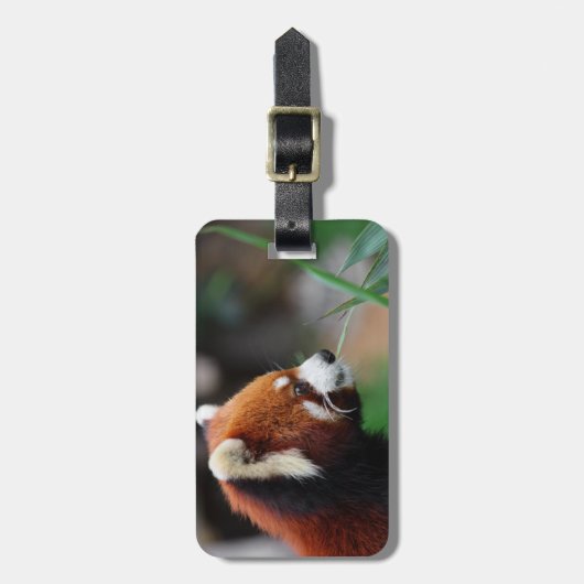 Roter Panda Gepäckanhänger (Vorderseite vertikal)