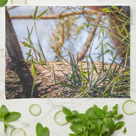 Roter Panda Geschirrtuch (Gefaltet)