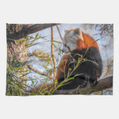 Roter Panda Geschirrtuch (Horizontal)