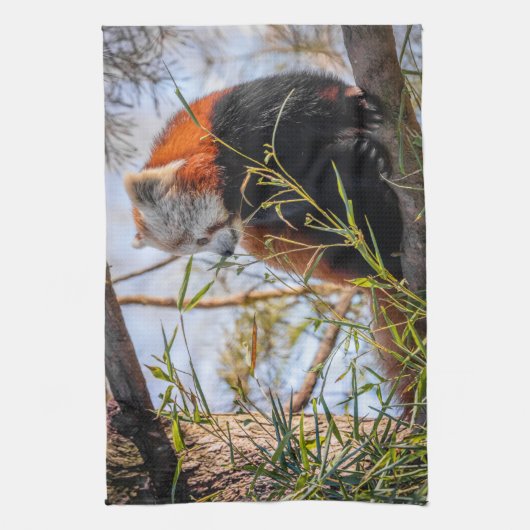 Roter Panda Geschirrtuch (Vertikal)