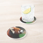 Roter Panda Getränkeuntersetzer (Seite)