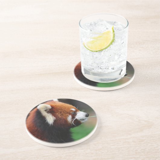 Roter Panda Getränkeuntersetzer (Seite)