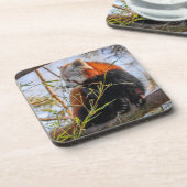 Roter Panda Getränkeuntersetzer (Linke Seite)