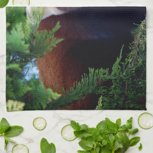 Roter Panda Handtuch (Gefaltet)